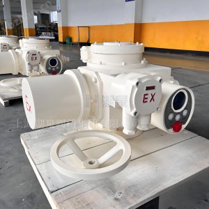 閥門電動(dòng)裝置dzw90-24選型手冊(cè)及調(diào)試視頻